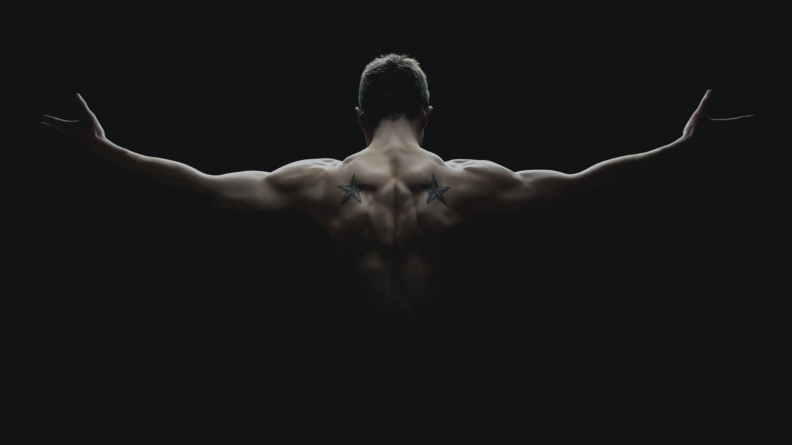 Gym Model 8 Gym Model 8